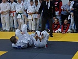 Łagiewniki: Mistrzostwa Dolnego Śląska w Judo