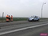 Zwłoki przy drodze Dzierżoniów-  Pieszyce