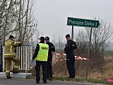 Zwłoki przy drodze Dzierżoniów-  Pieszyce