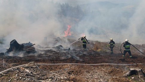 Pożar lasu w okolicy przełęczy Tąpadła i góry Radunia