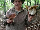 Zebrali 20 kg grzybów w Górach Sowich