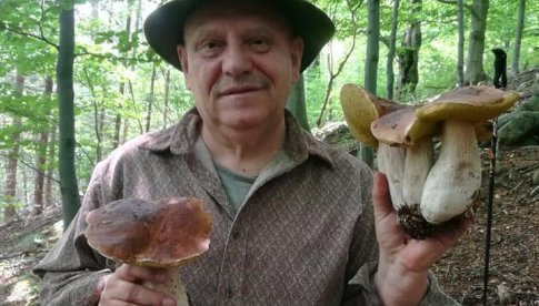 Zebrali 20 kg grzybów w Górach Sowich