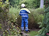 W Wilkowie Wielkim zawaliła się stodoła