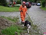 W Wilkowie Wielkim zawaliła się stodoła