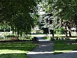 Dzierżoniów: Jak zmienia się park im. Janusza Kusocińskiego