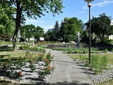 Dzierżoniów: Jak zmienia się park im. Janusza Kusocińskiego