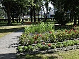 Dzierżoniów: Jak zmienia się park im. Janusza Kusocińskiego