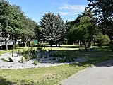 Dzierżoniów: Jak zmienia się park im. Janusza Kusocińskiego