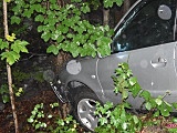 Audi uderzyło w drzewo