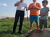 festyn w Piławie Górnej