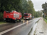 Powódź w powiecie dzierżoniowskim