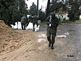 Powódź w powiecie dzierżoniowskim