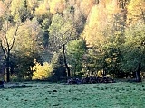 Kolorowa jesień w Górach Sowich