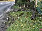 Ciężarówką wypadł z drogi w Piławie Dolnej