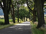 Dolnośląska Organizacja Turystyczna na rowerowej trasie w Powiecie Dzierżoniowskim