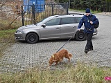 W Bielawie policjanci poszukiwali 82-letniego staruszka