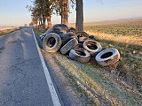 W rowach ląduje dosłownie wszystko