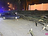 Drzewo spadło na forda