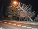 Drzewo oparło się o latarnię uliczną