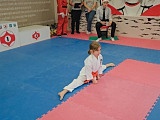 Turniej Mikołajkowy Kyokushin Dzierżoniów