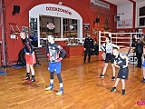 Sukcesy młodych bokserów z Dzierżoniowskiego Klubu Bokserskiego