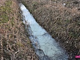 Zanieczyszczona rzeka w Piławie Górnej