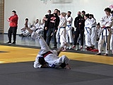 Mistrzostwa Dolnego Śląska Judo w Łagiewnikach