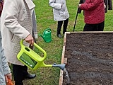 Sianie roślin przez seniorów z Bielawy