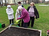 Sianie roślin przez seniorów z Bielawy