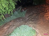 Bilans burz w powiecie dzierżoniowskim