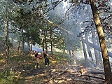 Pożar lasu na Górze Radunia 