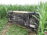 Samochód wypadł z drogi i wpadł w pole kukurydzy