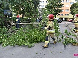 Drzewo spadło na mercedesa