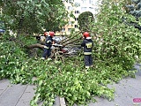 Drzewo spadło na mercedesa