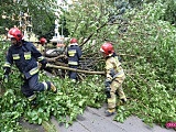 Drzewo spadło na mercedesa