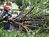 Drzewo spadło na mercedesa