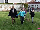 Dzieci zasadziły 50 lilaków