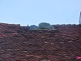Uszkodzony dach na ul. Kasztanowej w Bielawie