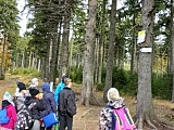 SOSW Piława Górna: na górskich szlakach
