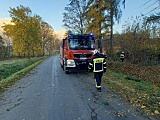 Straż pożarna z Otroszowic usuwał skutki silnych wiatrów