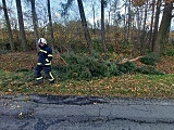 Straż pożarna z Otroszowic usuwał skutki silnych wiatrów