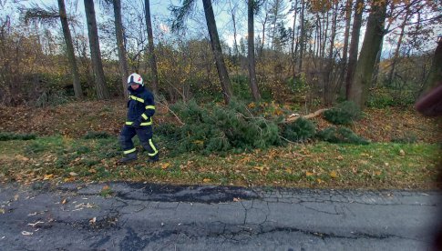 Straż pożarna z Otroszowic usuwał skutki silnych wiatrów