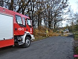 Powalone drzewo na drodze Myśliszów - Kielice