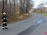 Dachowanie w Jodłowniku 