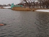 Zimowe pływanie w bielawskim zalewie