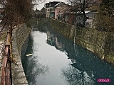 Duże zanieczyszczenie rzeki w Dzierżoniowie