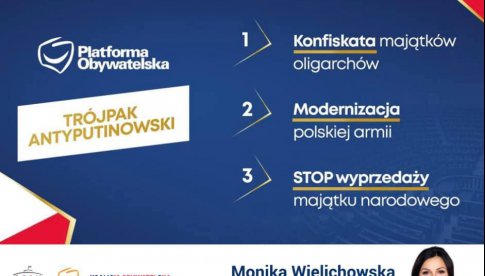 Poseł Monika Wielichowska - #TrójpakAntyputinowski
