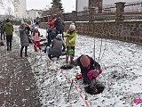 Lilakowa Aleja Przedsiębiorców w Dzierżoniowie