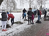 Lilakowa Aleja Przedsiębiorców w Dzierżoniowie