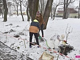 Lilakowa Aleja Przedsiębiorców w Dzierżoniowie